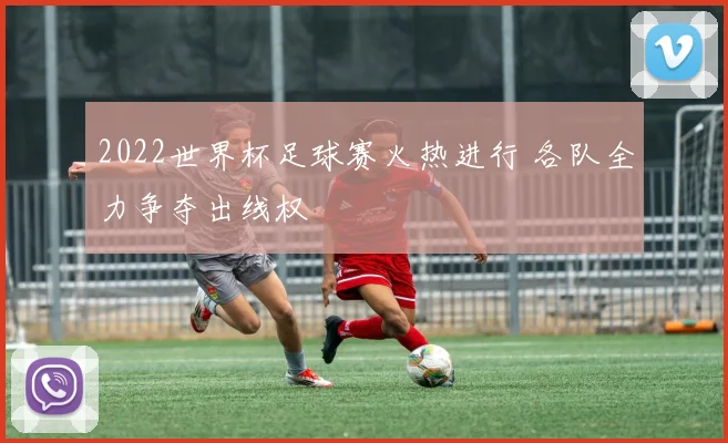 2022世界杯足球赛火热进行 各队全力争夺出线权
